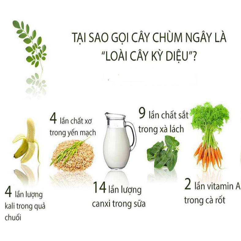 NEW- 50H - HẠT GIỐNG RAU CHÙM NGÂY