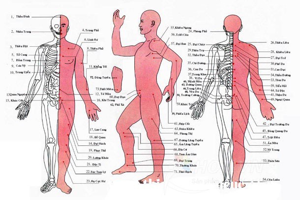 Combo 08 Miếng Dán Máy Massage Trị Liệu