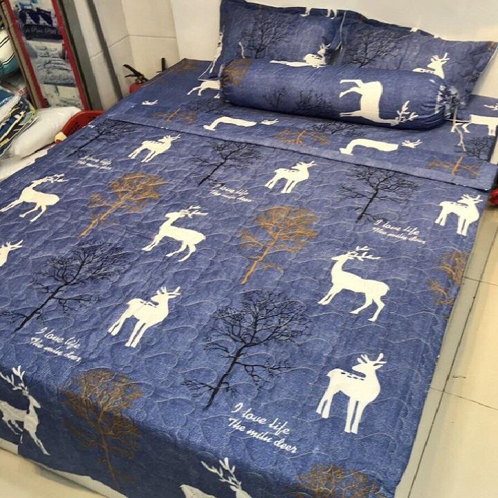 [HCM]ga giường cotton - chăn mền cotton MS06