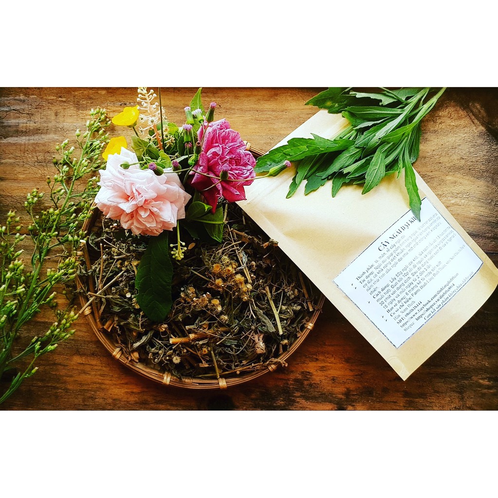 Cây Ngải Dại Khô (1kg)