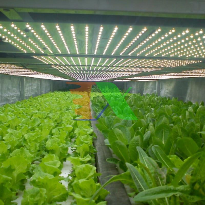 Led grow light MDA225A