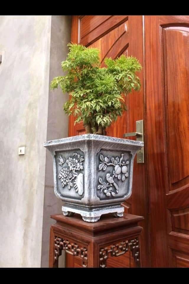 Khuôn đúc chậu vuông 35