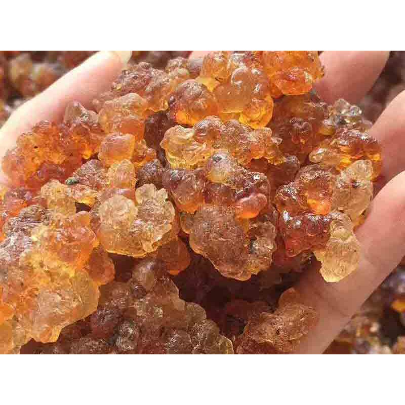 [HCM]Nhựa Đào Vân Nam Loại 1|1KG