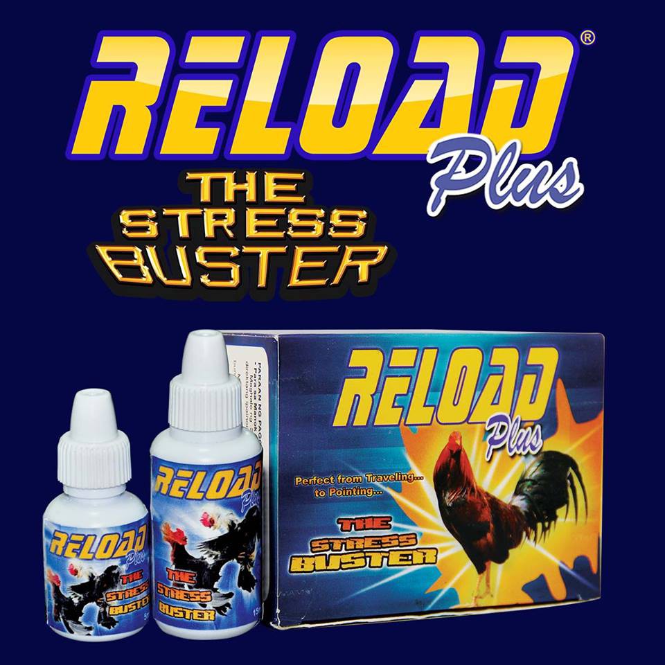 Reload PLUS chống rớt bo cho gà đi đá 15ml