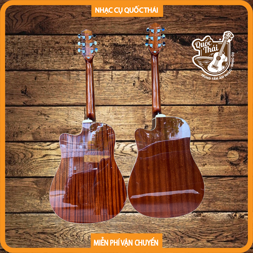 Đàn Guitar Acoustic Takamine ED334CEQ