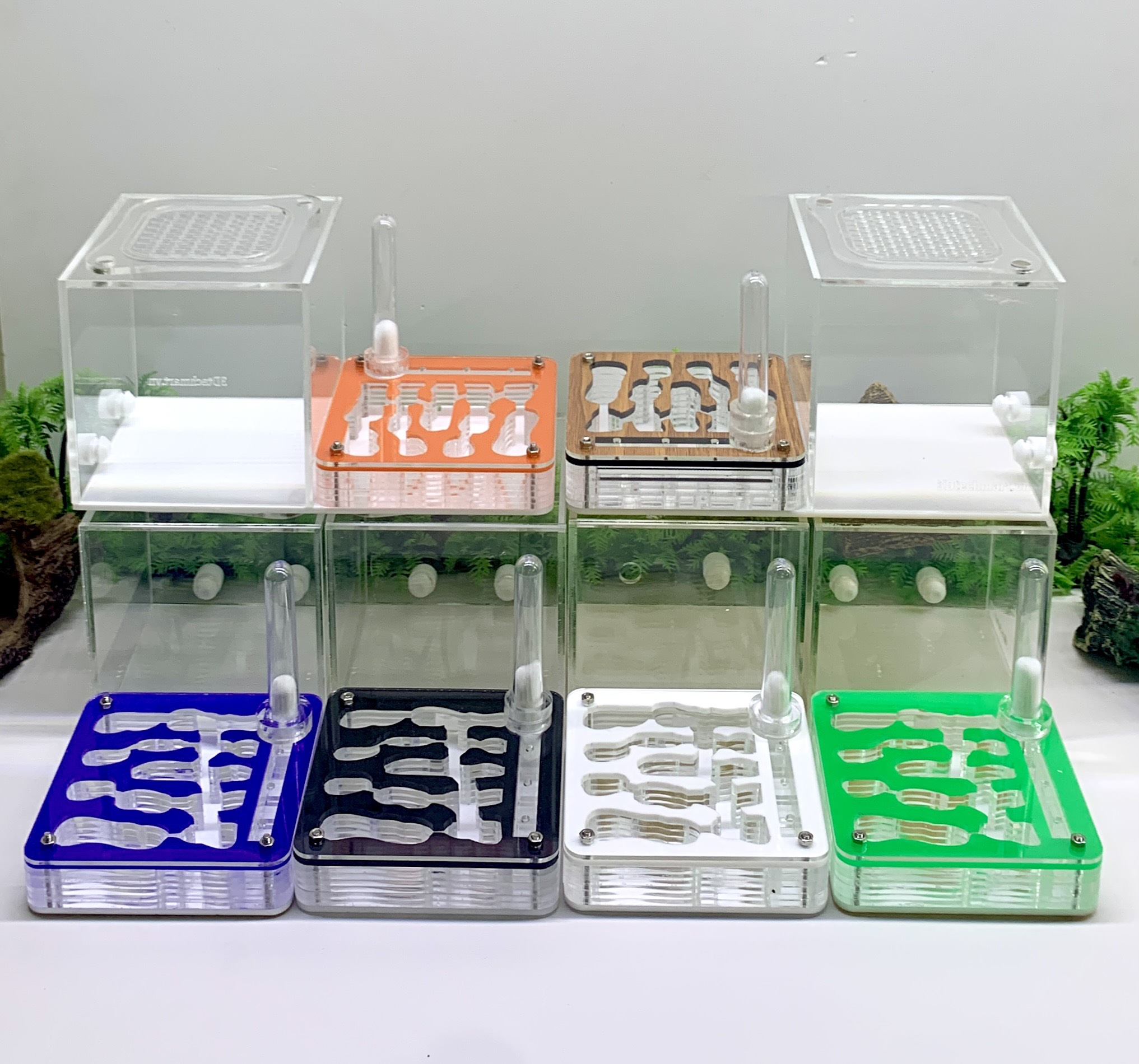 Formicarium / Tổ nuôi kiến / hộp nuôi kiến nằm 10cm