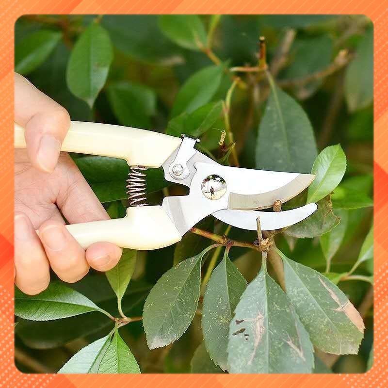 KÉO CẮT TỈA CÂY CẢNH CHUYÊN DỤNG - Kéo Cắt Cành Chất Liệu Thép
