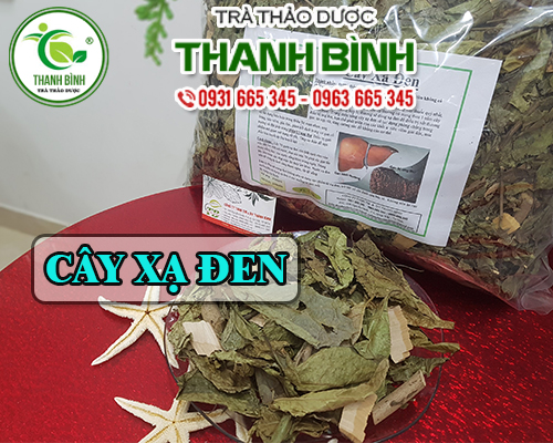 Cây Xạ Đen 500G Khô Loại Đặc Biệt - Đông Y Thanh Bình