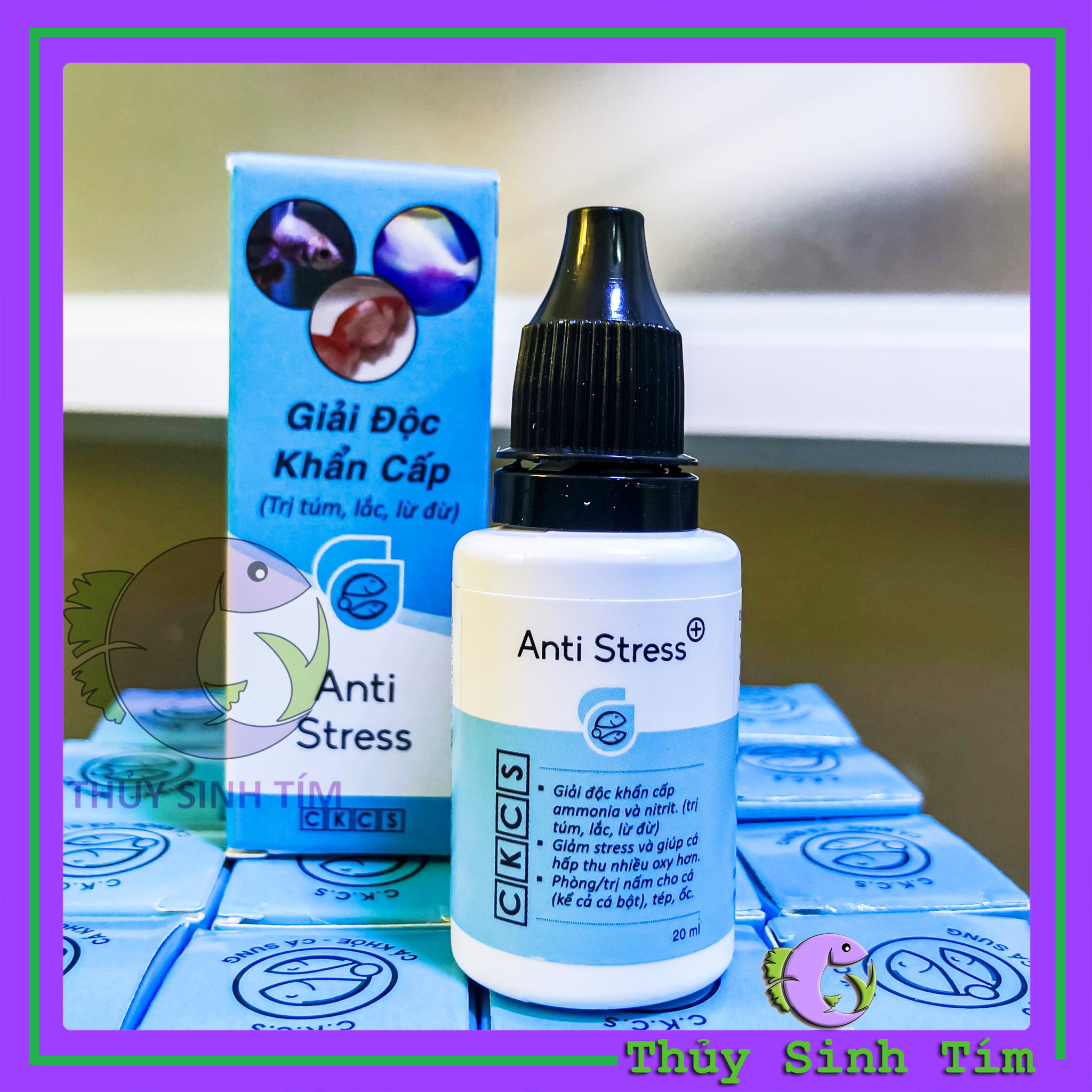 Anti stress - giải độc khẩn cấp