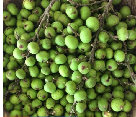 1kg Quả sung khô thái lát thơm ngon