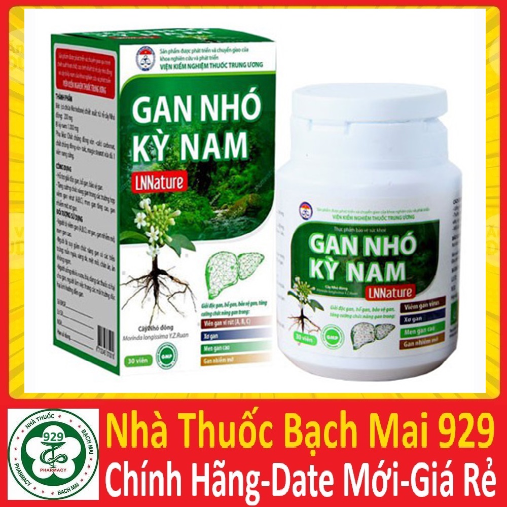 gan nhó kỳ nam - date mới 2026