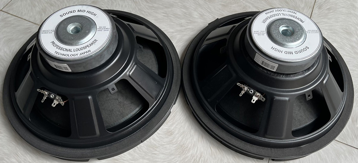 BASS SUB 30 RỜI XỊN MỚI TỪ 113 COIL 38 (1214)( HẢI TRIỀU )