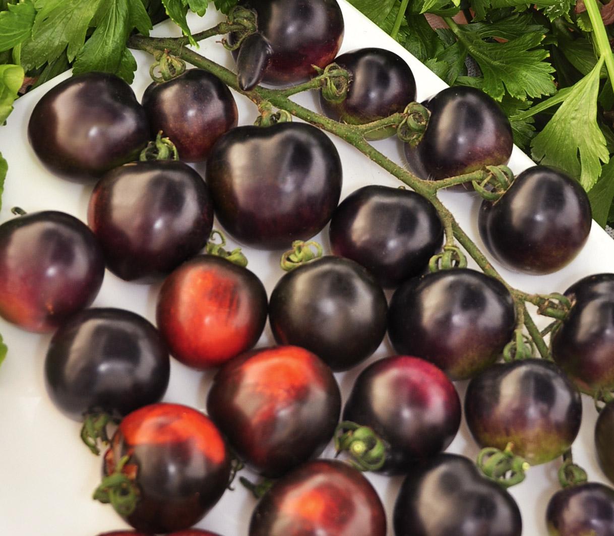 Hạt giống Cà chua đen phú nông - PhuNongSeeds