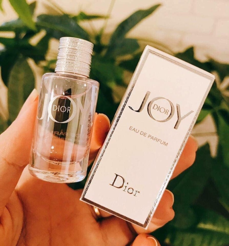 joy dior mini