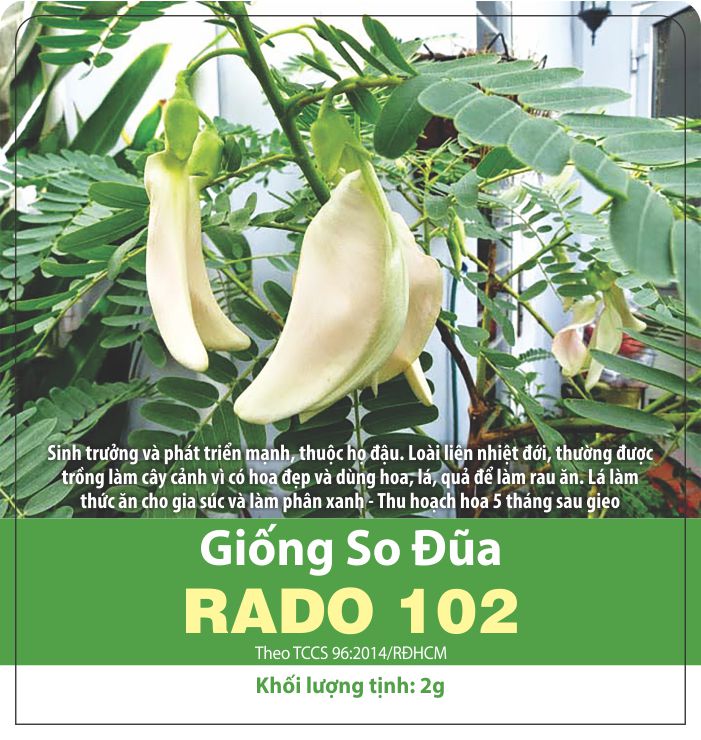 Hạt giống so đũa, bông so đũa