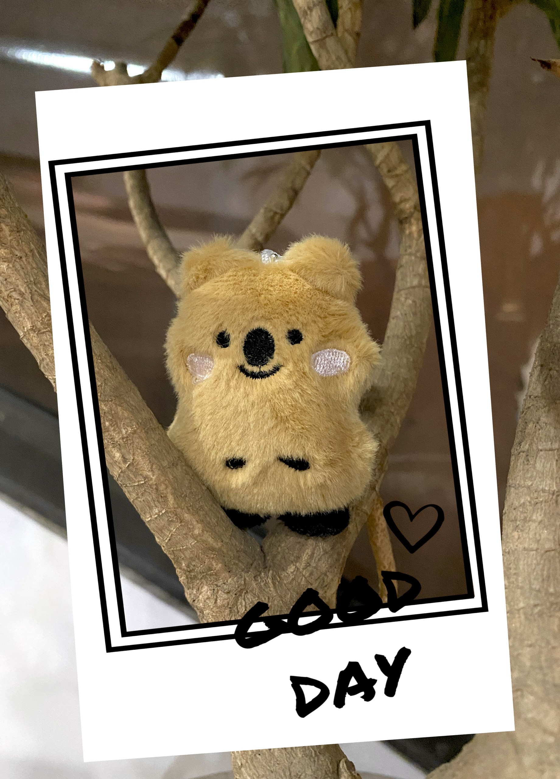 Móc khóa gấu Koala và anh em - VVVV1711