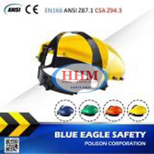 Mặt nạ mài cắt Blue Eagle B1YE-FC45
