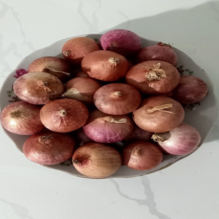 Củ Hành Tím đắk lắk 1kg
