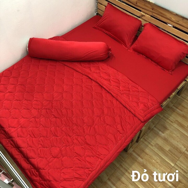 [HCM]Drap thun Hàn Quốc đủ size