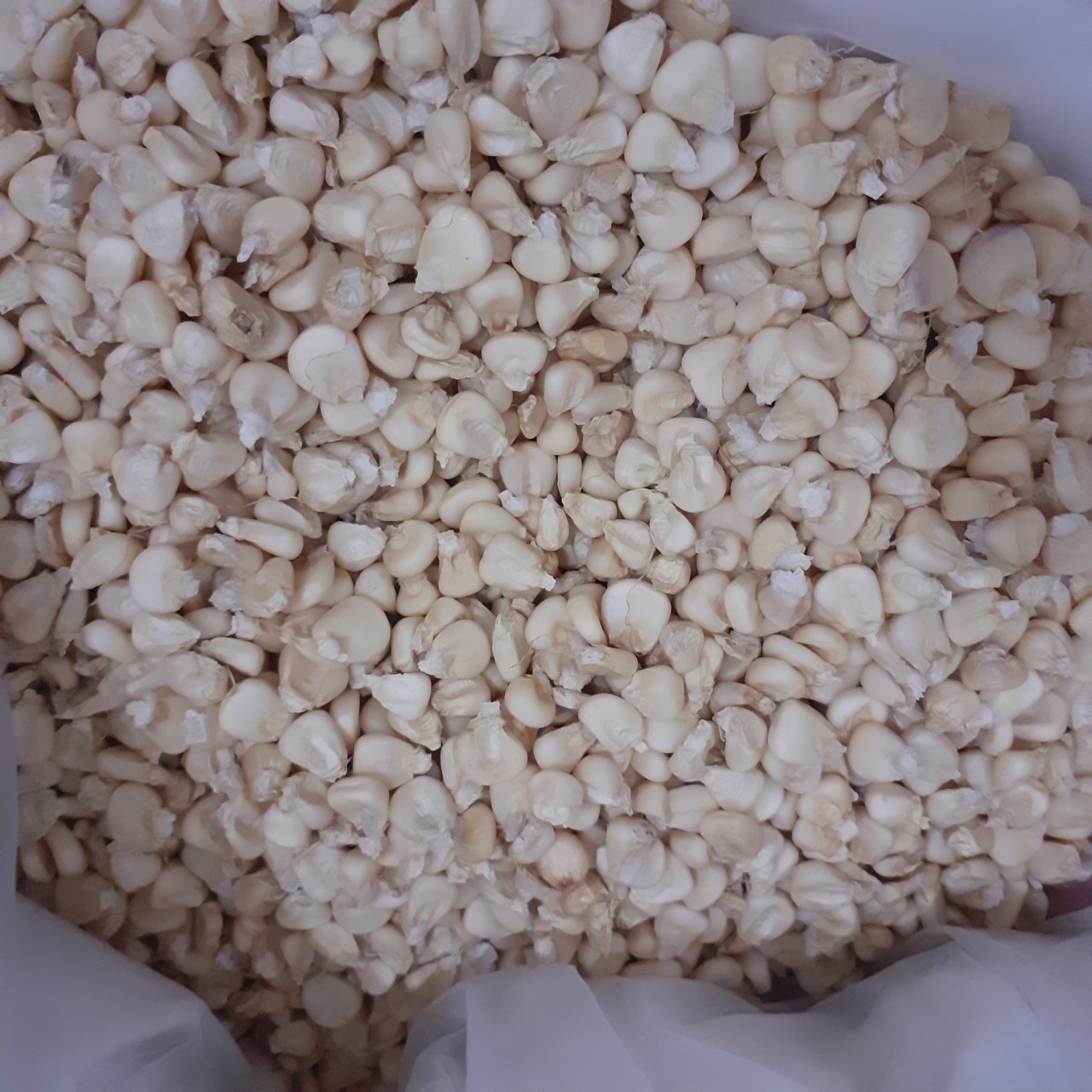Bắp Hạt (Ngô Hạt) Khô- Làm xôi bắp, bắp hầm - Nhà trồng