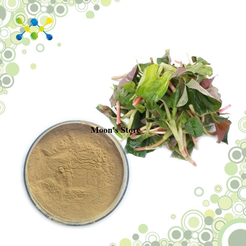 Bột rau diếp cá nguyên chất (dùng uống hoặc đắp mặt nạ)