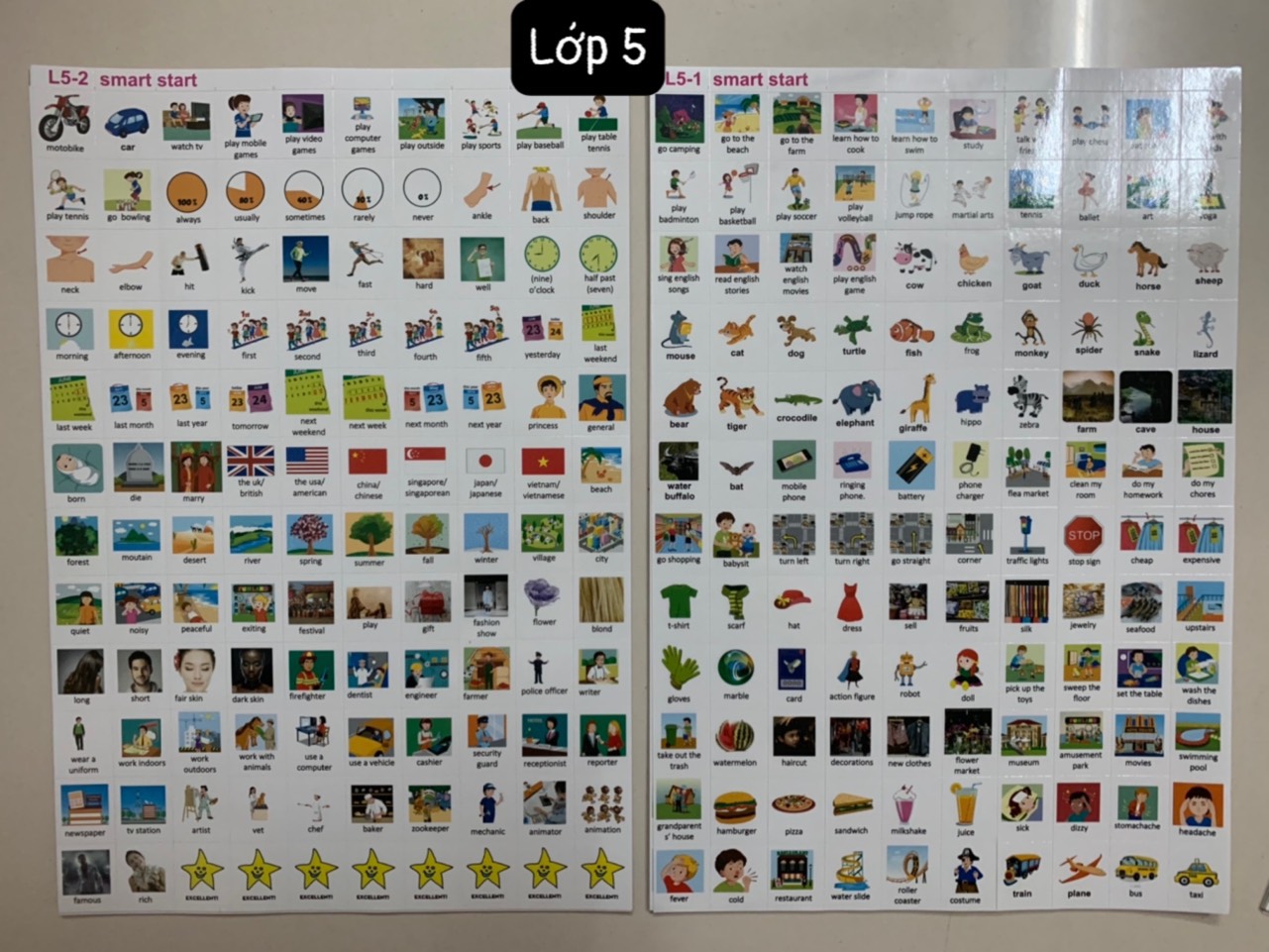 Sticker Từ vựng tiếng anh Smart start lớp 1 đến lớp 5 chuẩn chương trình BGD