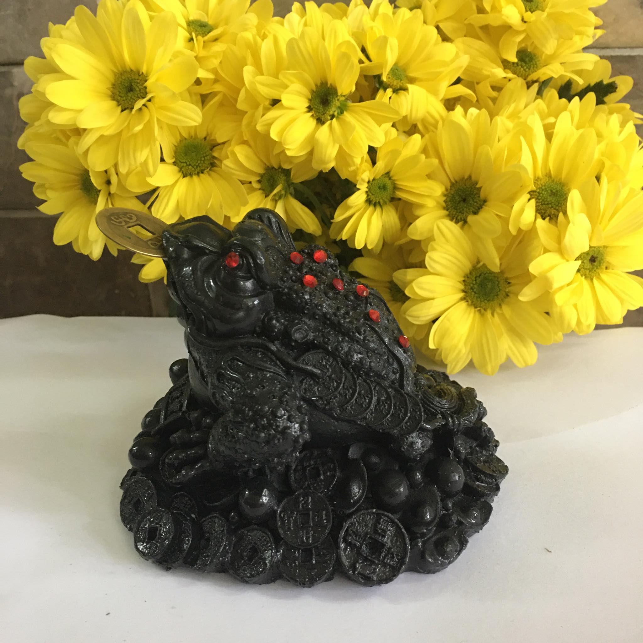 Tượng cóc màu đen cao 10 cm x dài 10 cm x rộng 8 cm mang may mắn