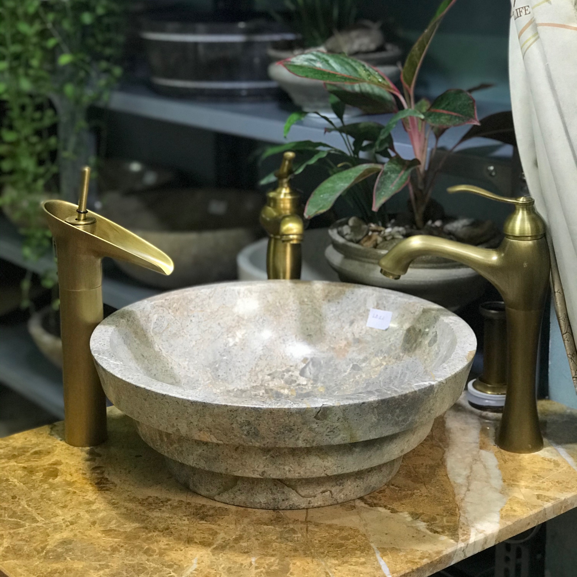 Chậu đá cụi