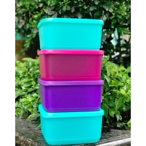 Bộ hộp trữ mát Tupperware Small Square Round