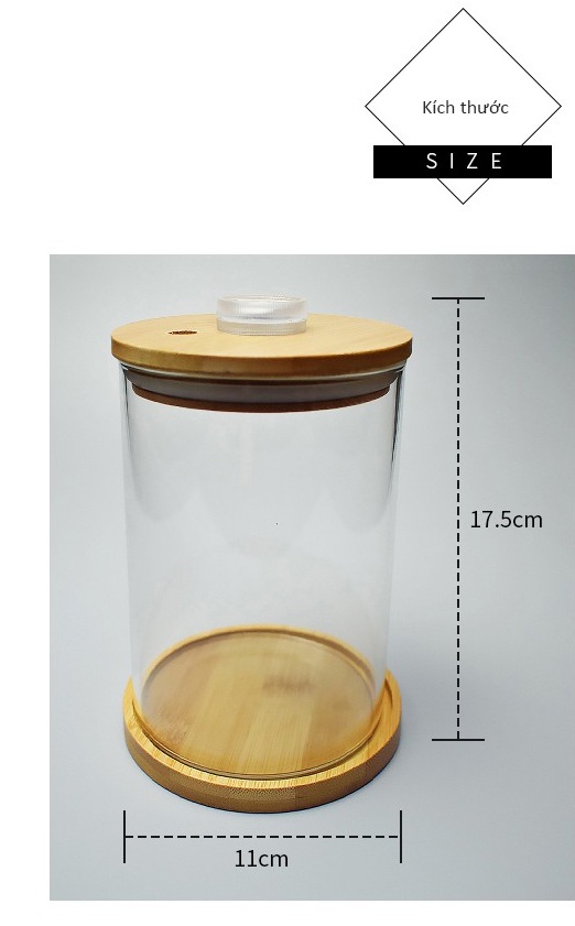 Bể cá chọi Bể cá mini để bàn Betta-01