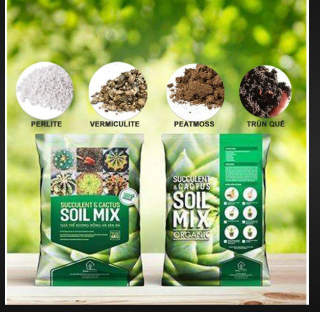 Đất trồng xương rồng và sen đá soil mix