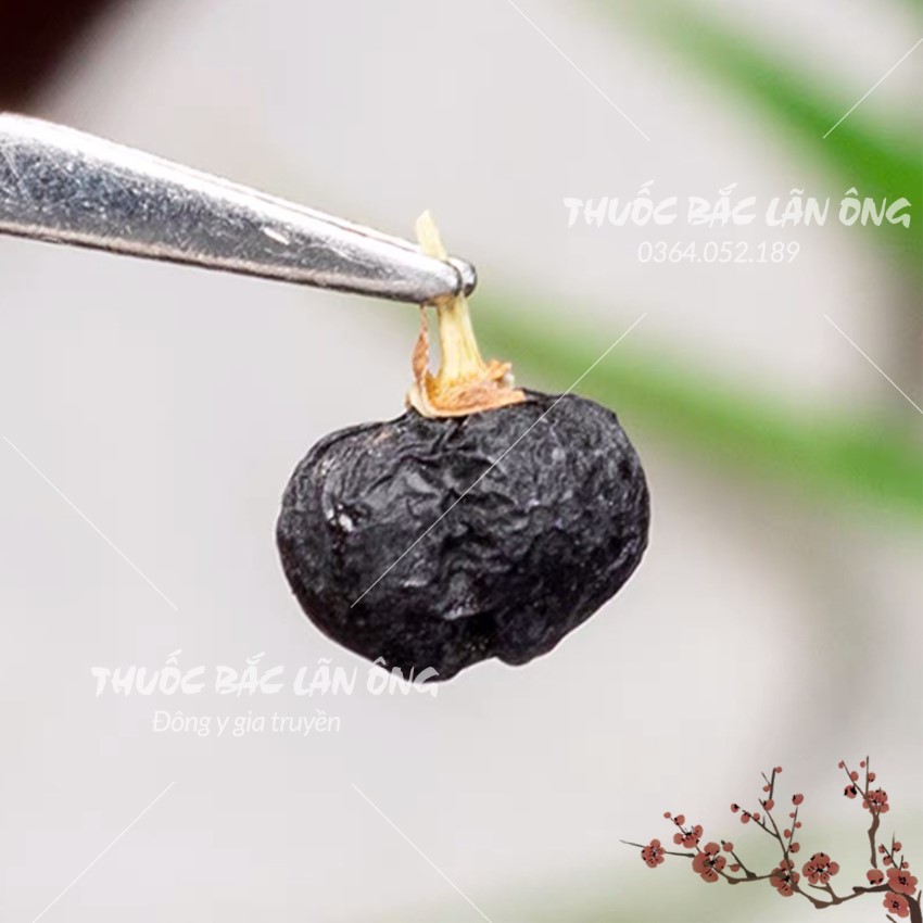 Hắc kỷ tử tây tạng 100g (Kỷ tử đen đẹp da dưỡng nhan chống lão hóa)