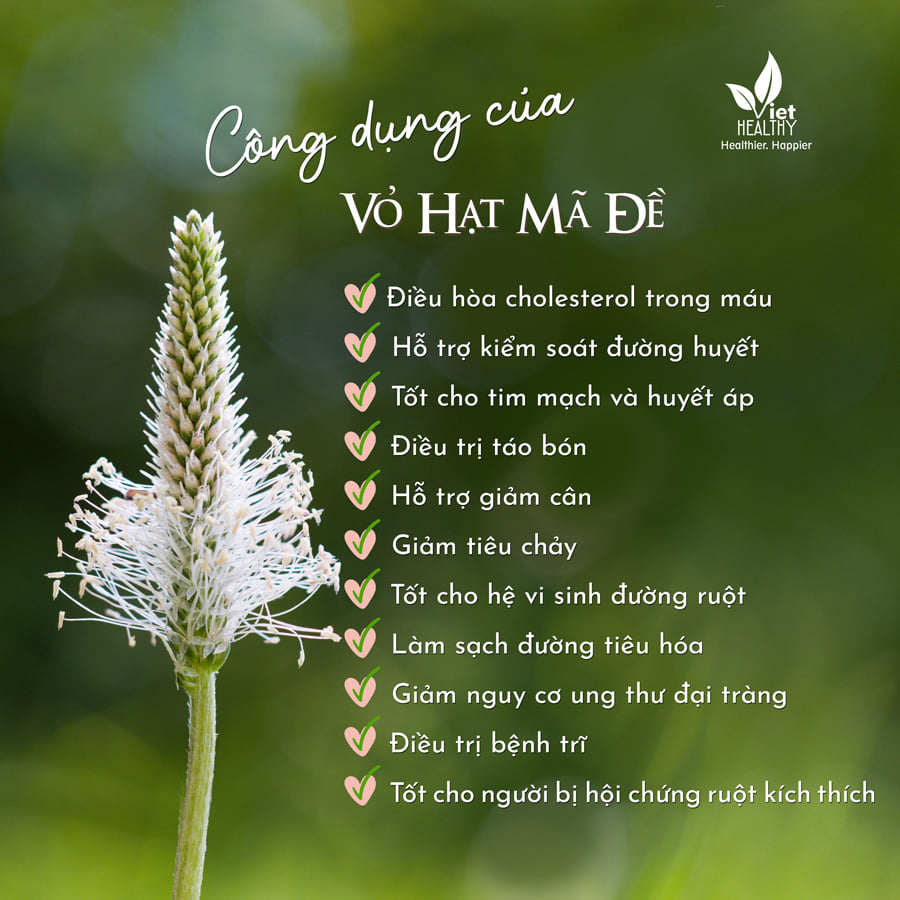 Vỏ hạt mã đề Viet Healthy 150g