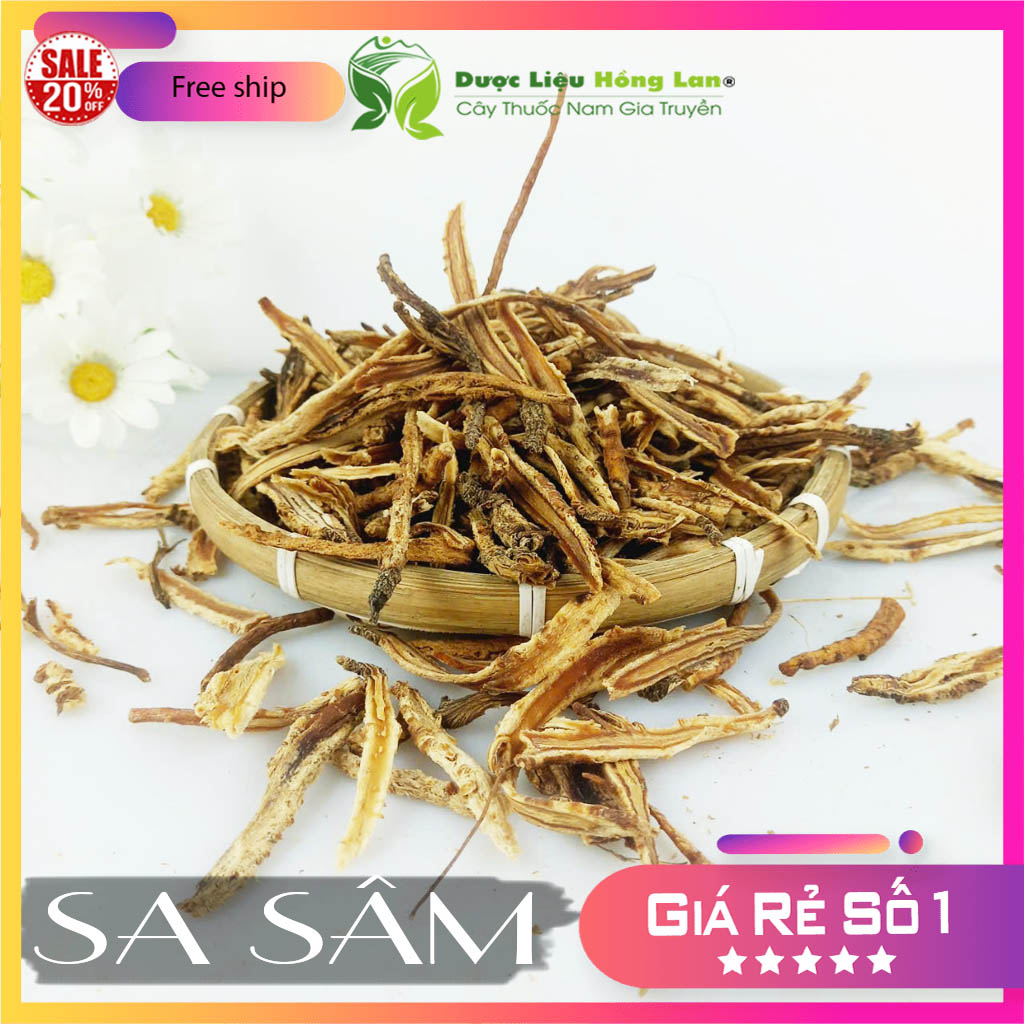 [FreeshipMAX] ✅[THƯỢNG HẠNG] 500g Sa Sâm đẹp loại 1