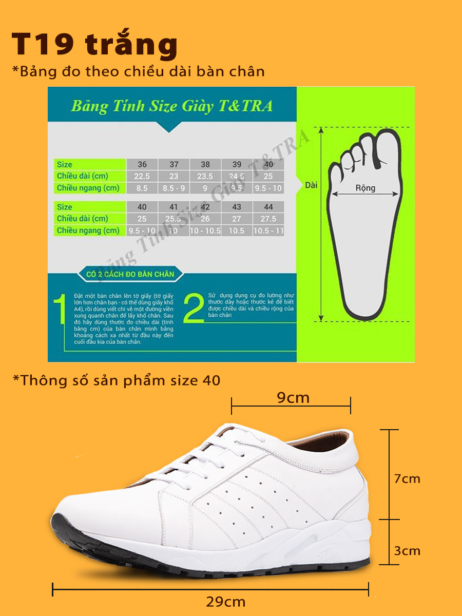 Giày Cao Nam T&TRA T19 Trắng cao 6CM