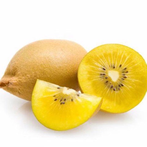 Cây giống Kiwi lùn