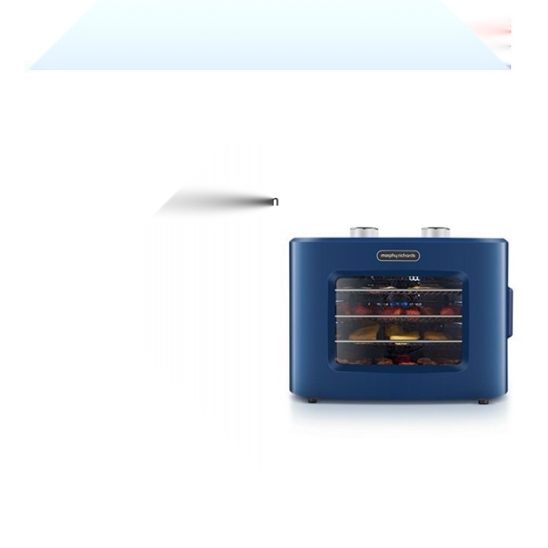 Máy sấy thực phẩm cao cấp Morphy Richards MR6255