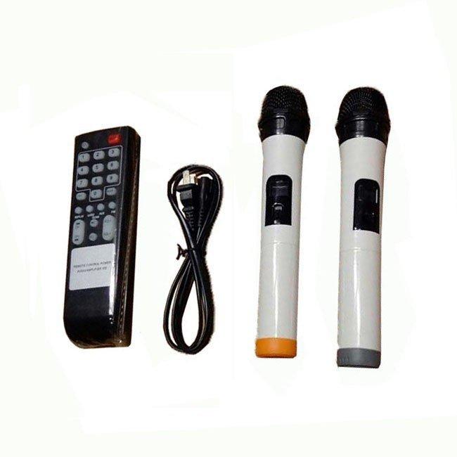 Loa kéo Karaoke di động Bluetooth Ronamax T12 ( 300W )