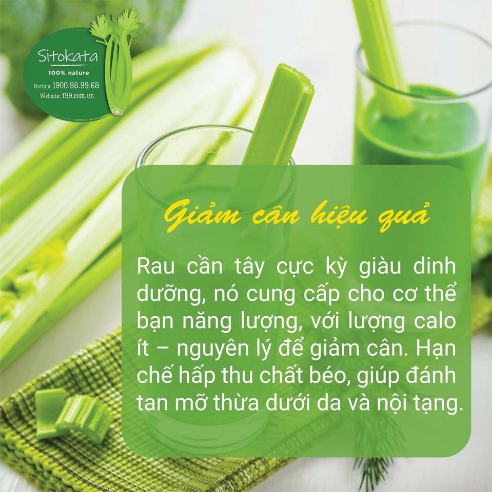 [HCM]COMBO 1 HỘP CẦN TÂY SITOKATA (TẶNG BÌNH NƯỚC VÀ CẨM NANG)
