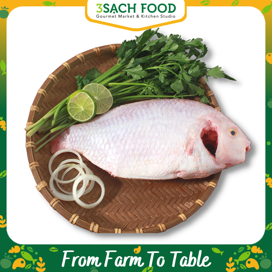 Cá Diêu Hồng - 800g - 900g con