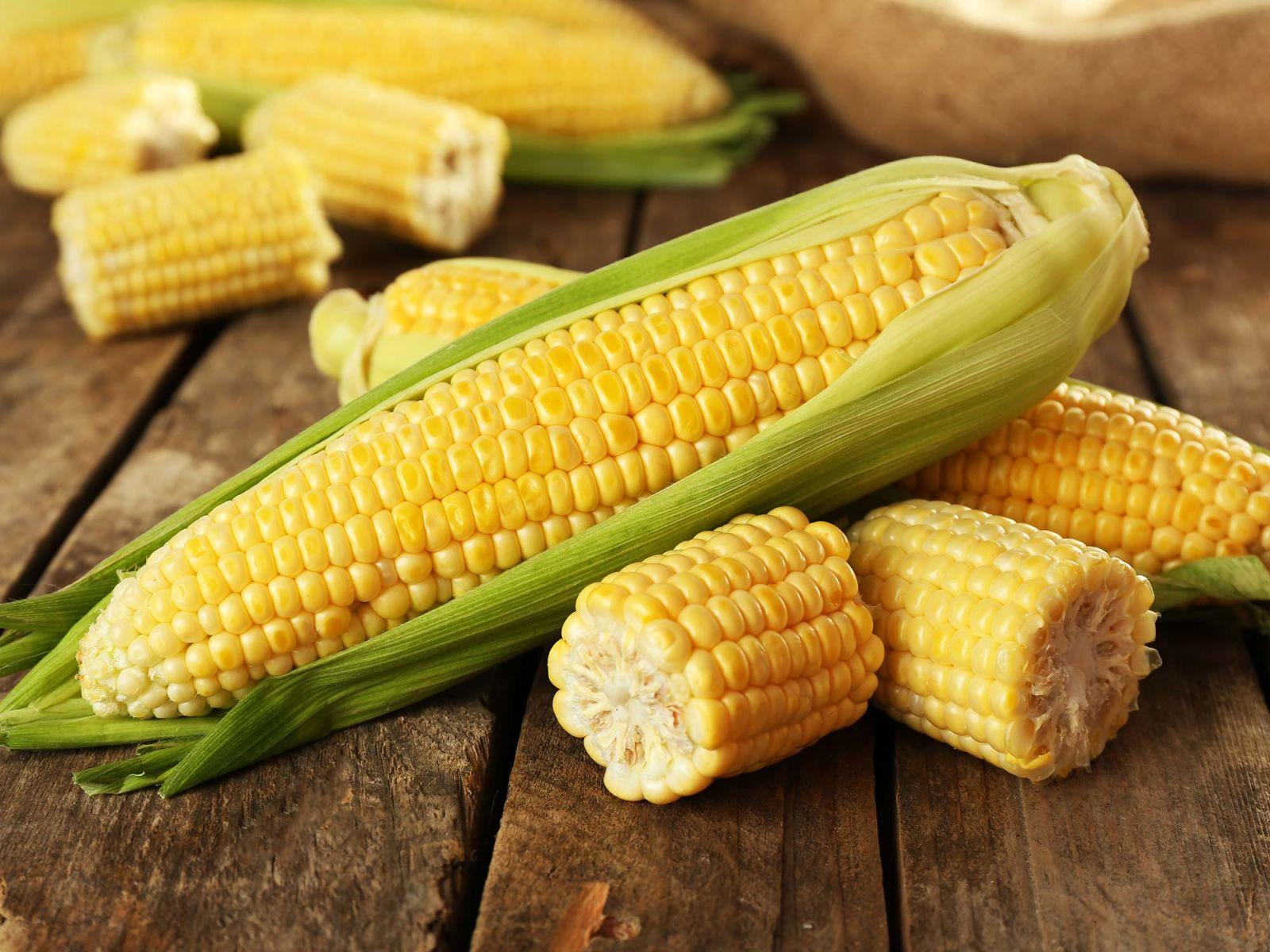 Hạt Giống Bắp Ngọt (Bắp Mỹ)