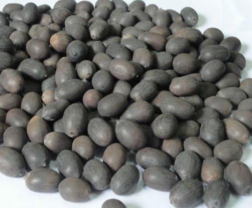 Hạt sen khô đồng 500gr (Đồng Tháp)