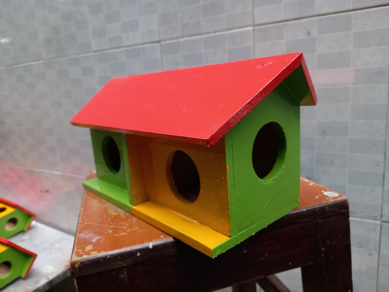 Tổ chim yến phụng ,manh manh, bảy màu