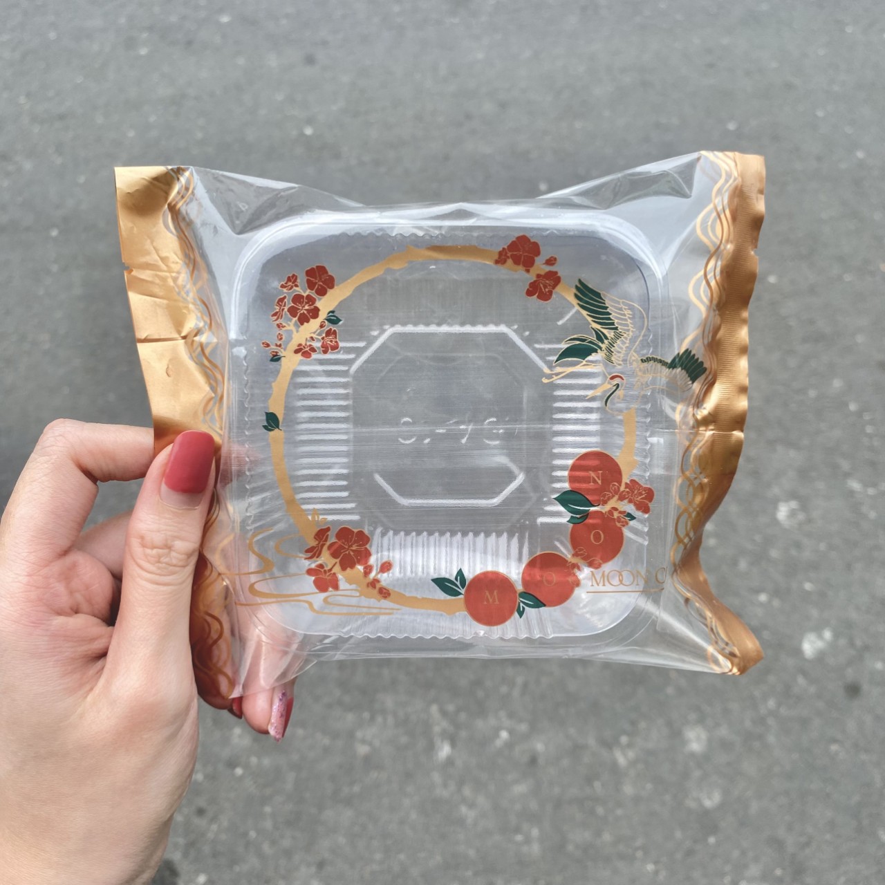 50 Khay và Túi ép nhiều mẫu (2 size) 9-10