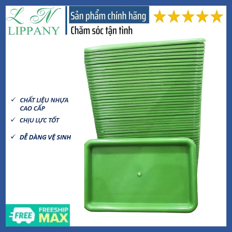 Tray plastic fruit-plastic tray rectangular đựng multifunction fruit