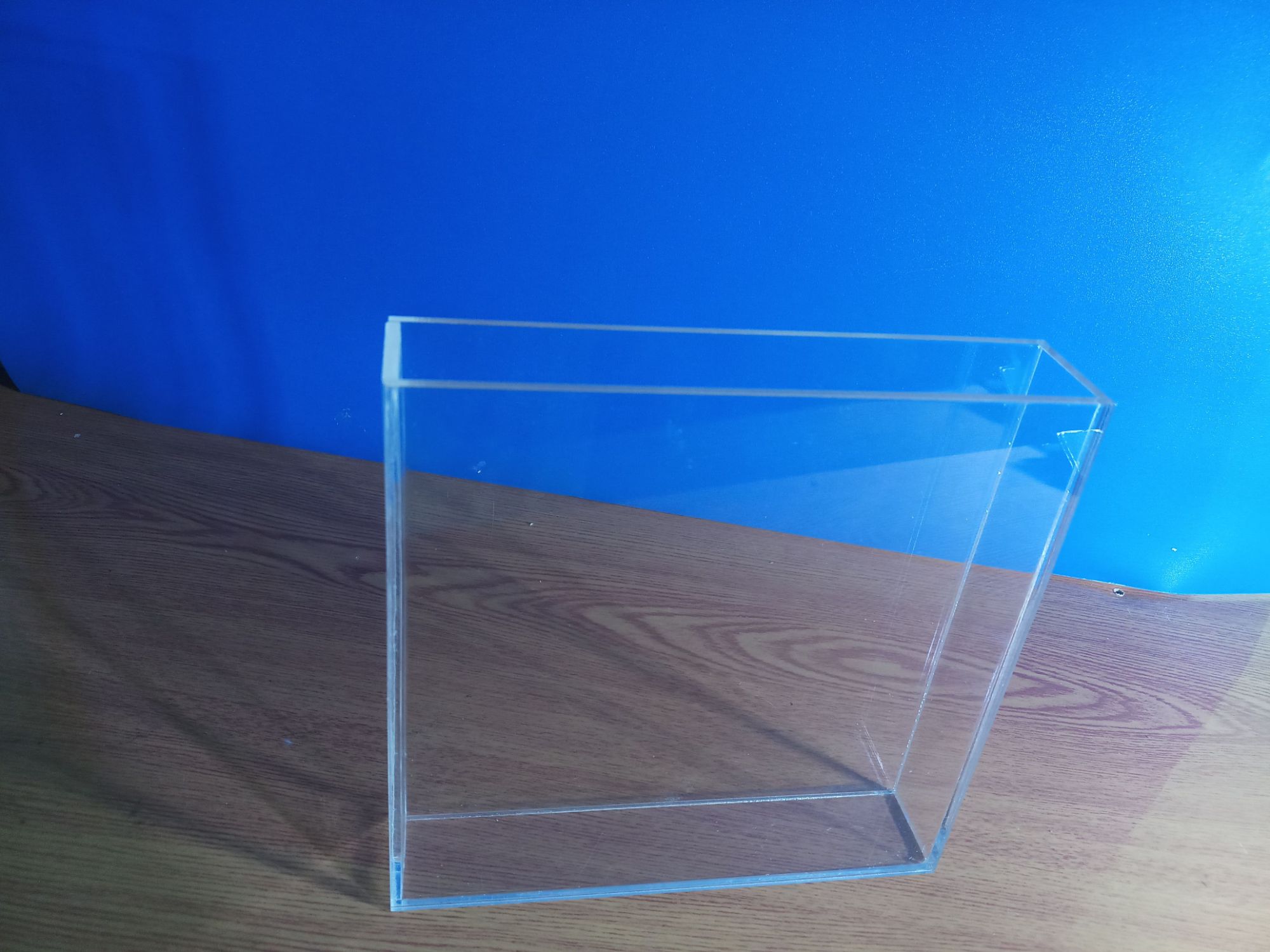 [HCM]hồ show betta mini 12x3x12