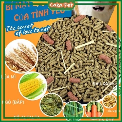 Thức ăn cho chuột lang, bọ ú 🐹Có thêm Vitamin C, thảo mộc ngăn ngừa tiêu chảy 🐹 Date 2026, không trộn tạp