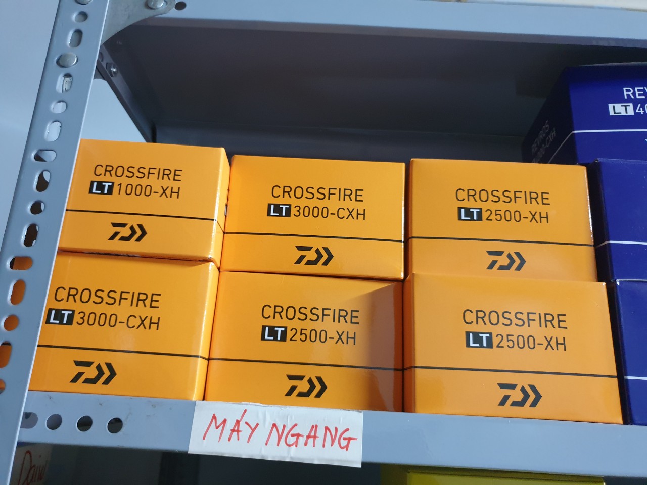 MÁY ĐỨNG DAIWA CROSSFIRE LT ( XH / CXH ) 1000 / 2000 / 2500 / 3000 4000 5000 5000