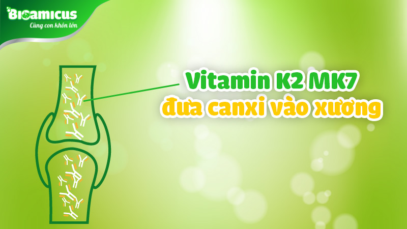 BioAmicus Vitamin D3K2MK7 10ml chính hãng- 08TGSS