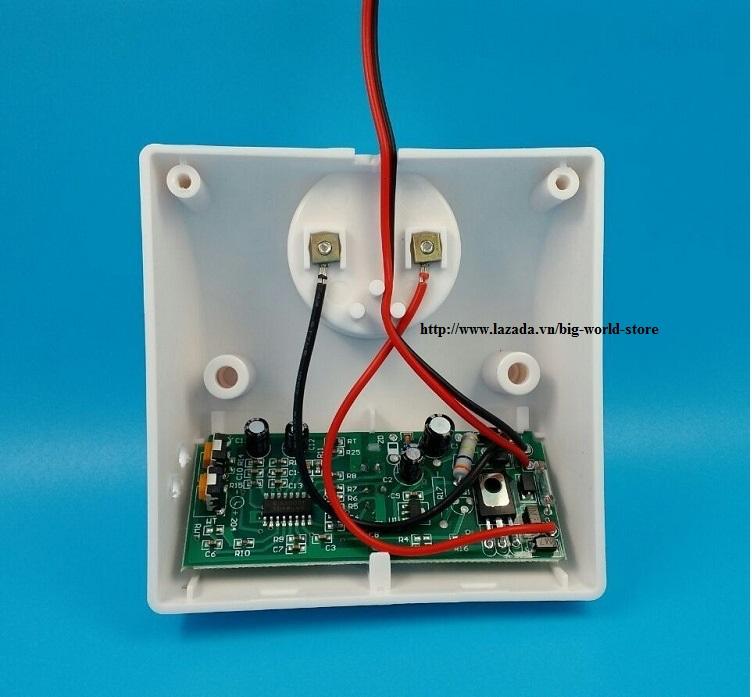 Đui đèn cảm ứng mắt thần 2 chiếc (Trắng)